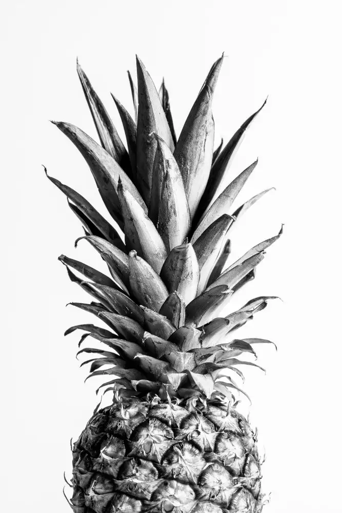Studio, Pictufy: Ananas Noir & Blanc 01