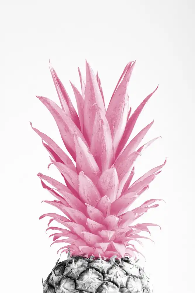 Studio, Pictufy: Ananas Rose 03