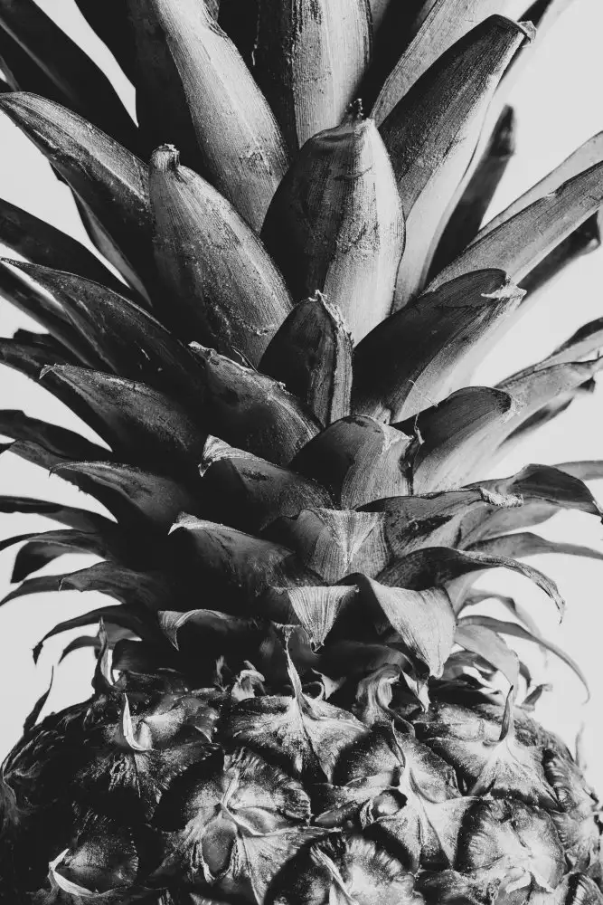 Studio, Pictufy: Ananas da vicino 02