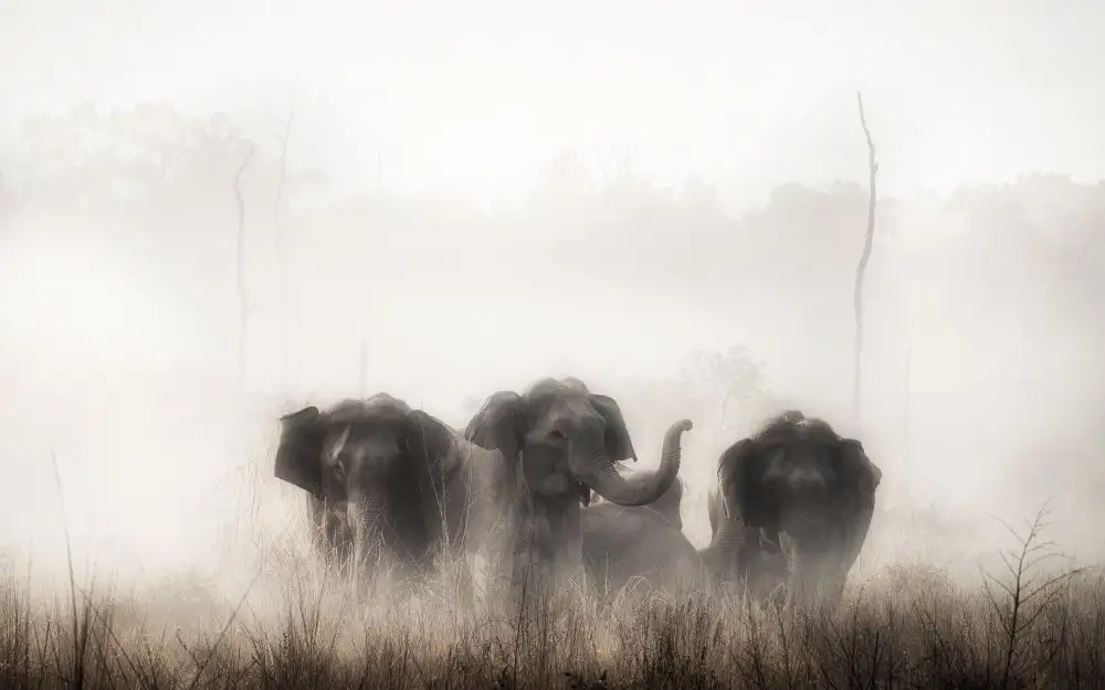 Swapnil: famiglia