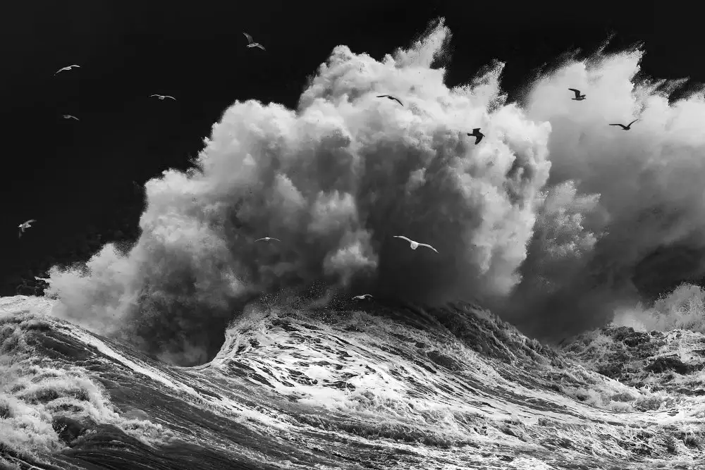 Lazzarotti, Paolo: BIRDS IN THE STORM (Part 1)