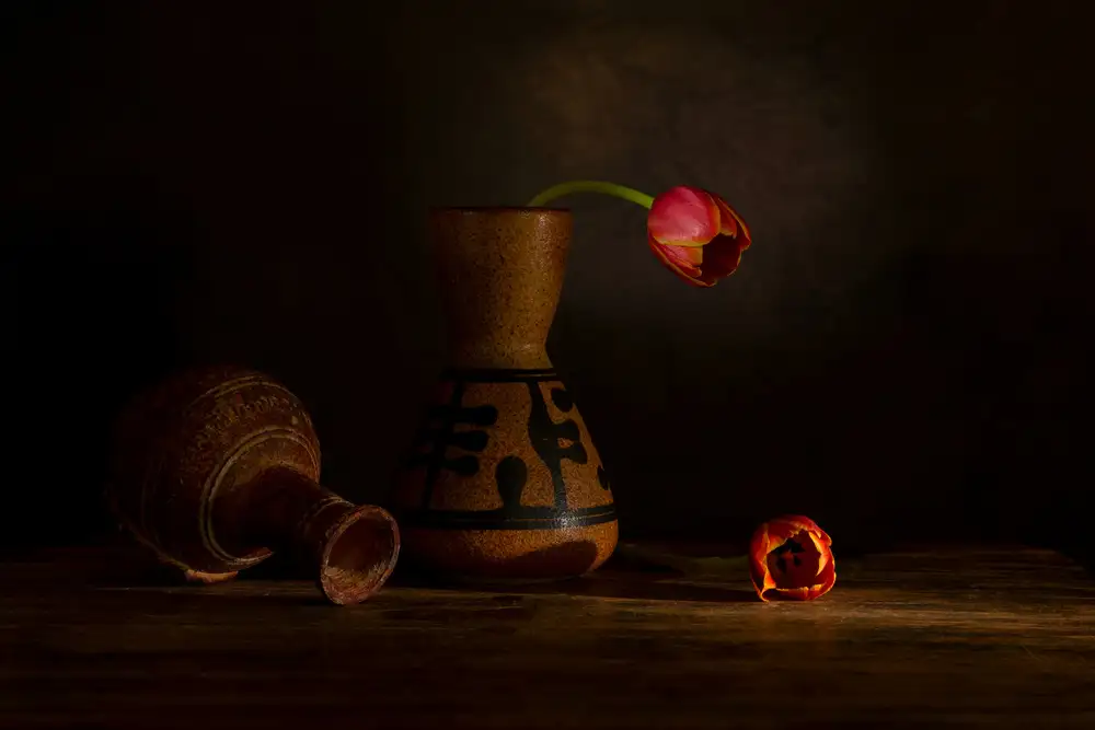 Xu, Wendy: Tulips & vases