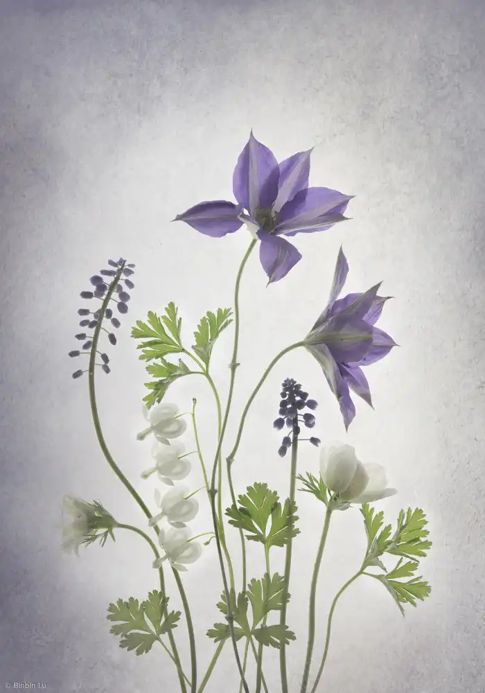 Binbin, L.: Spring