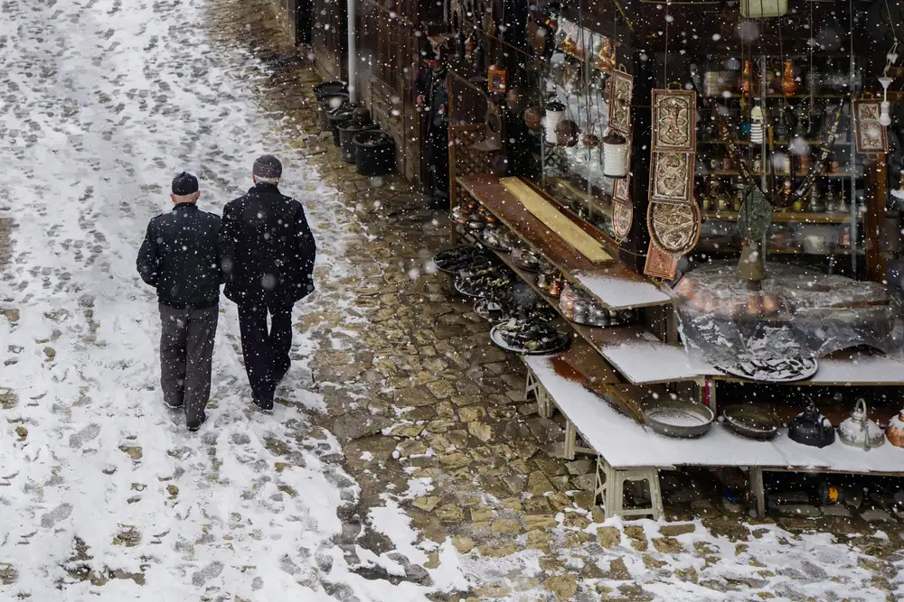 GÖKMEN, Fatma: walking in the snow