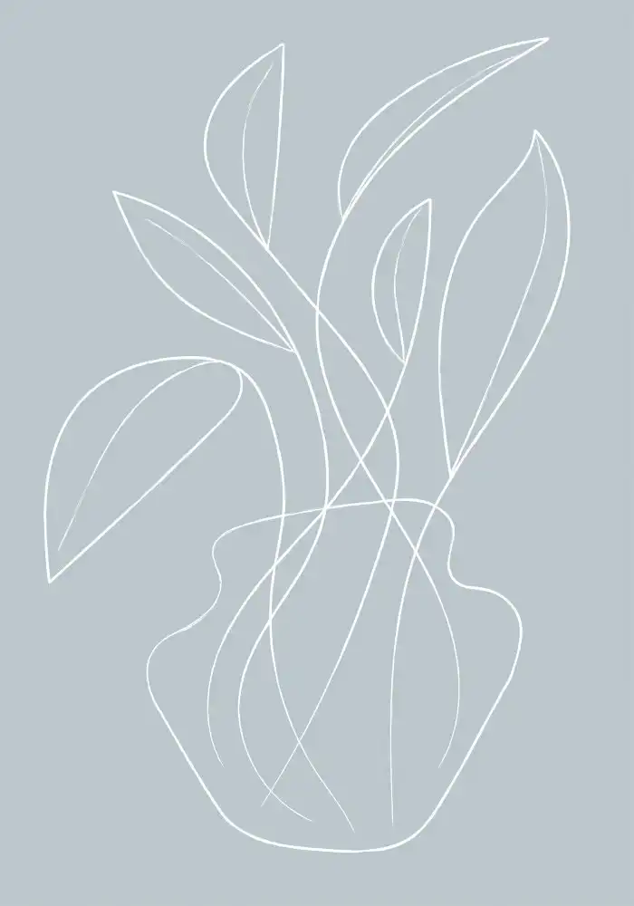 Studio, Pictufy: Lignes de vases