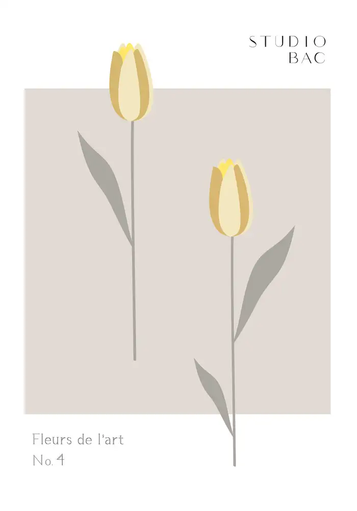 Studio, Pictufy: Tulipes Studio Bac