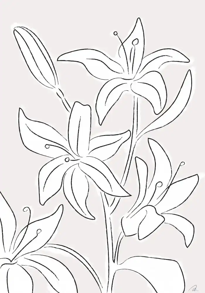 Studio, Pictufy: Lily No 03
