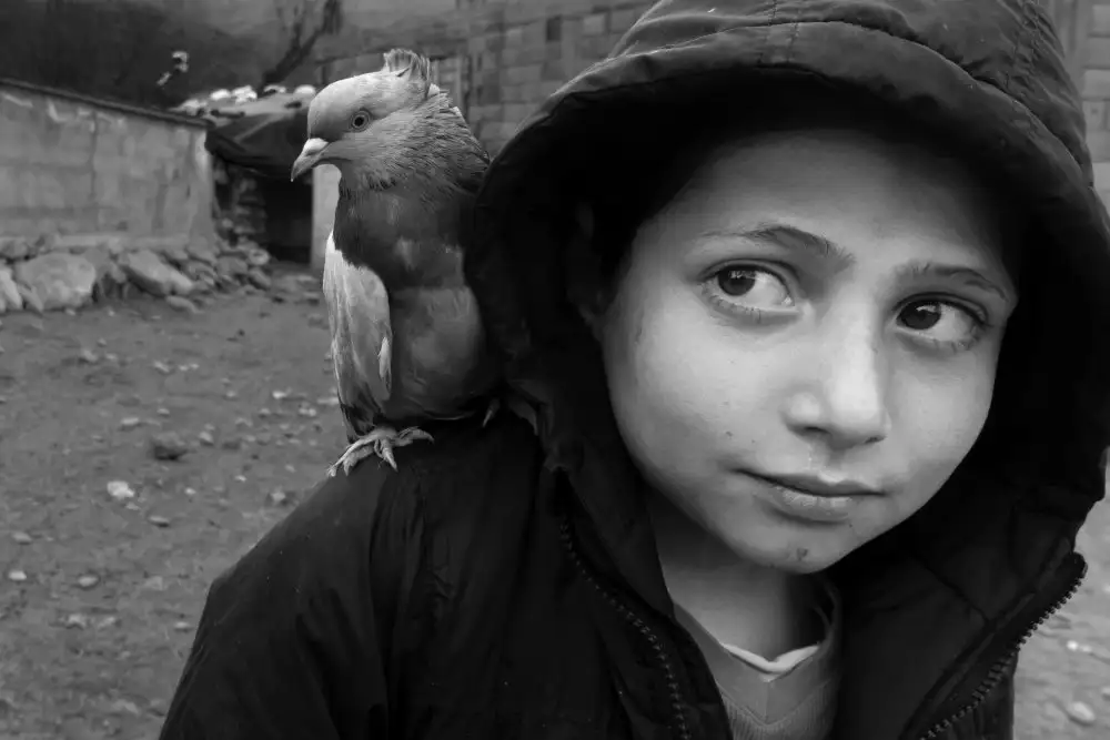 berrinaydin: İnnocence