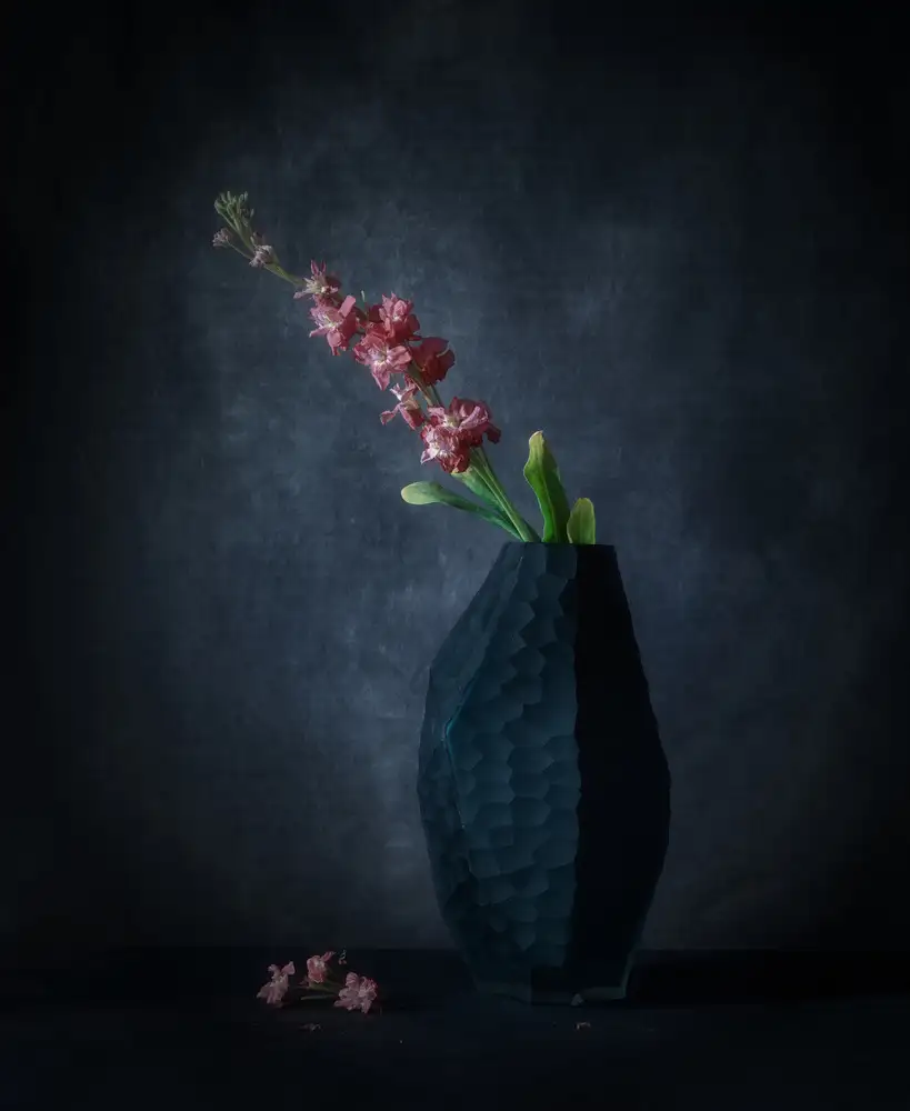 May, G.: Matthiola Incana mit einer Felsenvase