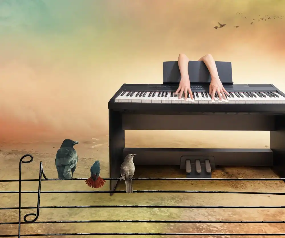 XibiaoHuang: Concert