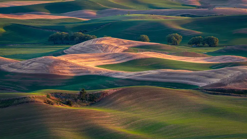 Zhang, Dennis: Terreni agricoli al tramonto