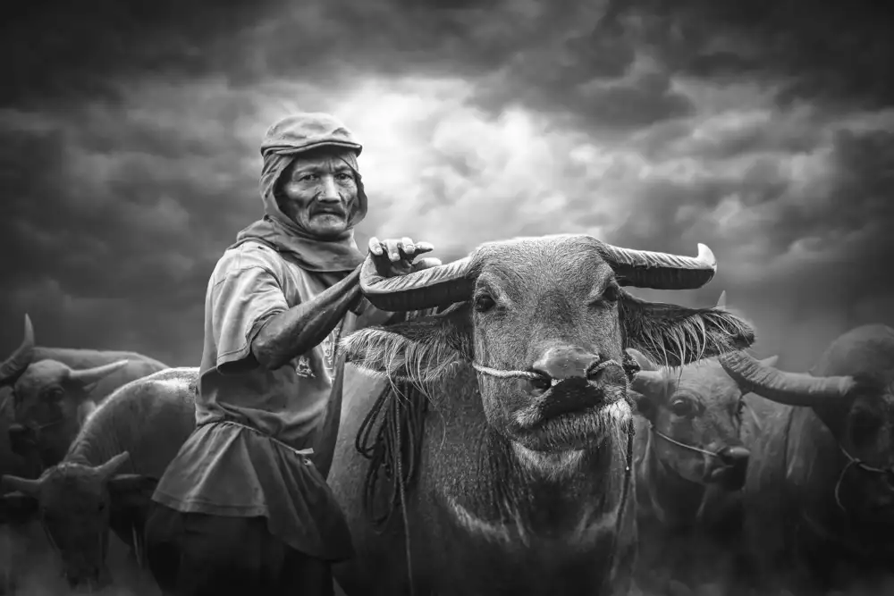 Act, Djeff: the shepherd