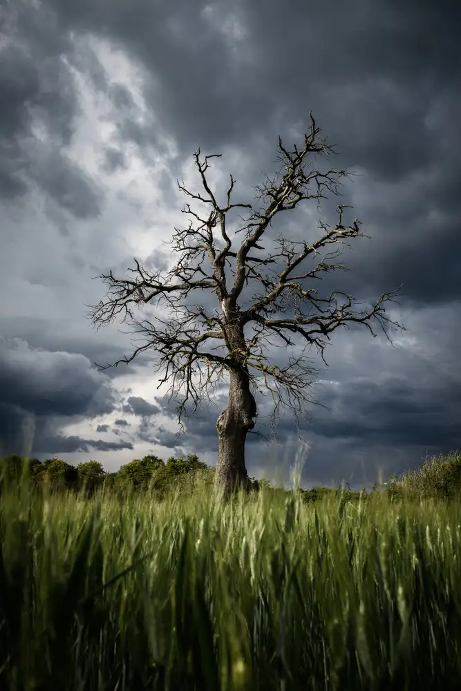 Anton, Rostovskiy: stormy weather