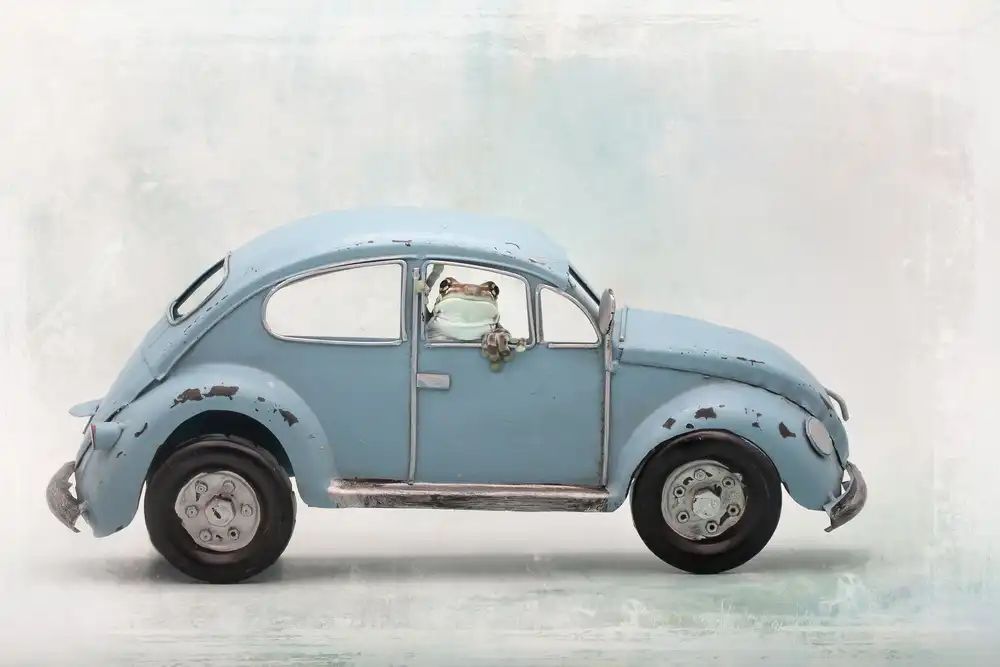 Lester, D Linda: Rana del latte di Amazon nel maggiolino VW