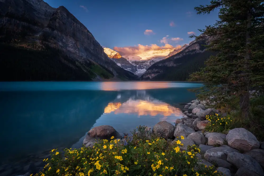 （李永男）, Li Yongnan: Trono d'oro di Lake Louise