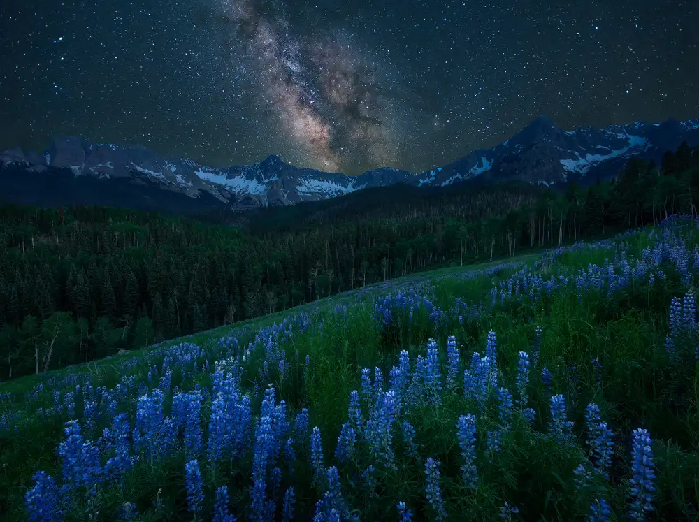 Xu, Mei: Milky Way over Lupine Slope