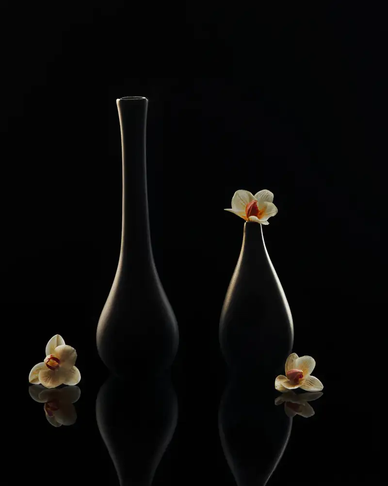 Luo, Louie: Orchidea elegante