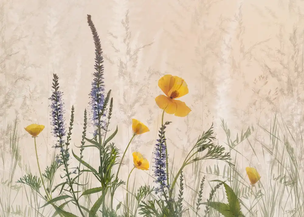 Talen, Nel: Dreaming of flowers