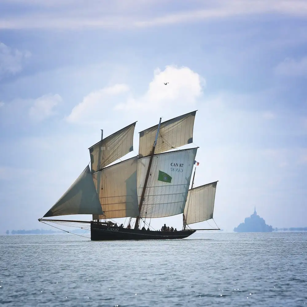 DEMOULIN, Vincent: Boat, Bird and Mount