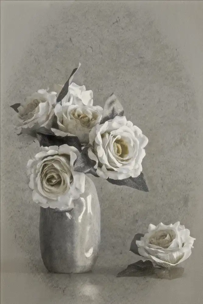 Kiral, Cicek: Faded Lines