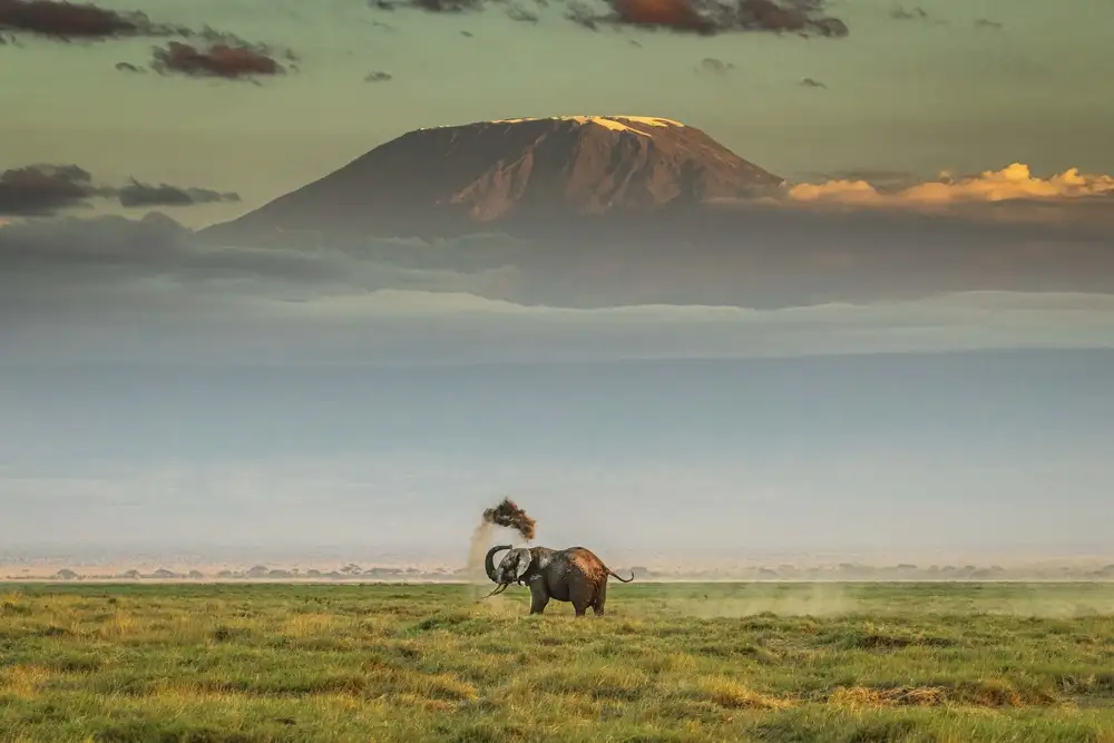 Sink, C. Jeffrey: La magia dell'Amboseli