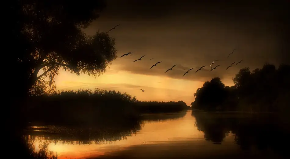 Bosogea-Tudor, Ileana: Danube Delta