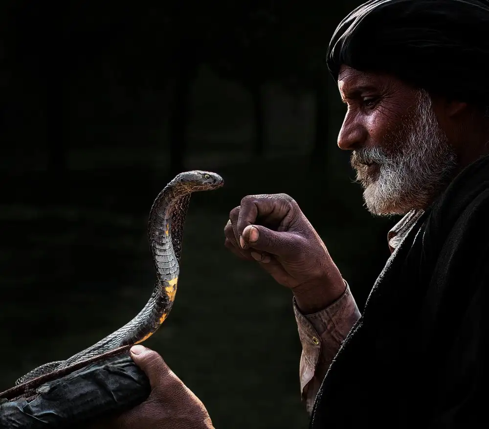Reza, Nayyer Sayyed: Snake Charmer