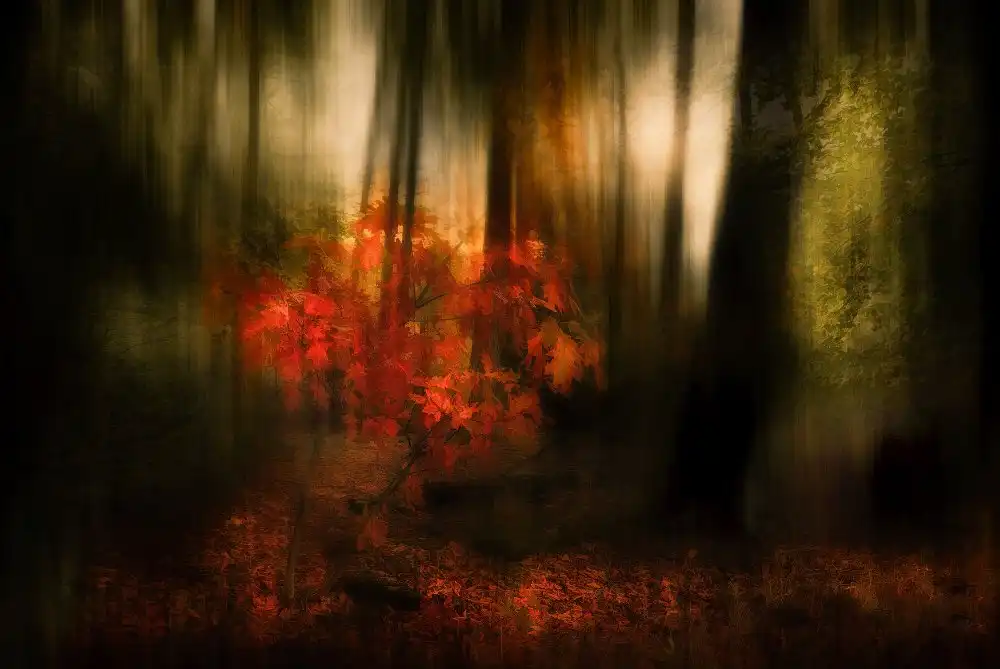Linden, van Jan: Autumn feelings
