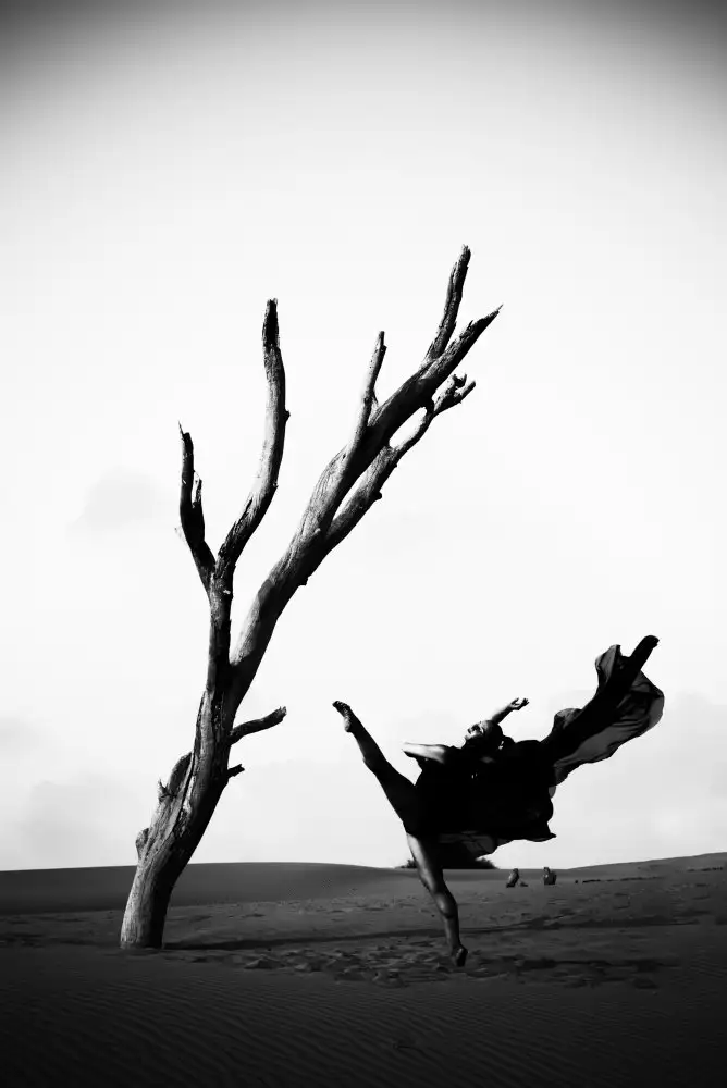 Abu, Dekel: Contrast