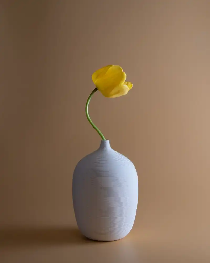 Li, Qing: Tulip