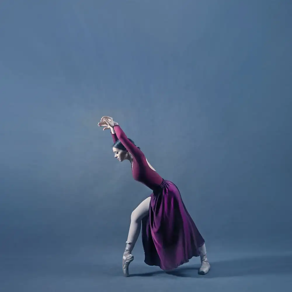 Hasheminasab, Moein: Persian Dancer