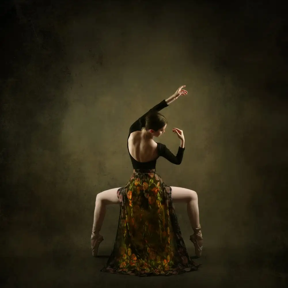 Hasheminasab, Moein: Persian Dancer
