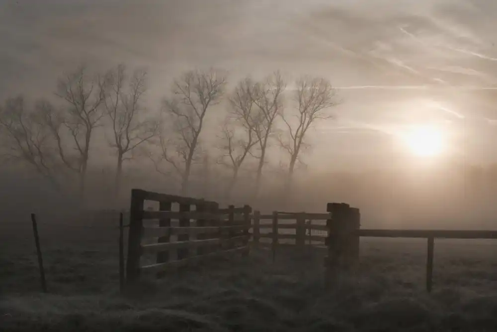 Yvette,,,, Depaepe,,,,: Hazy morning symphony