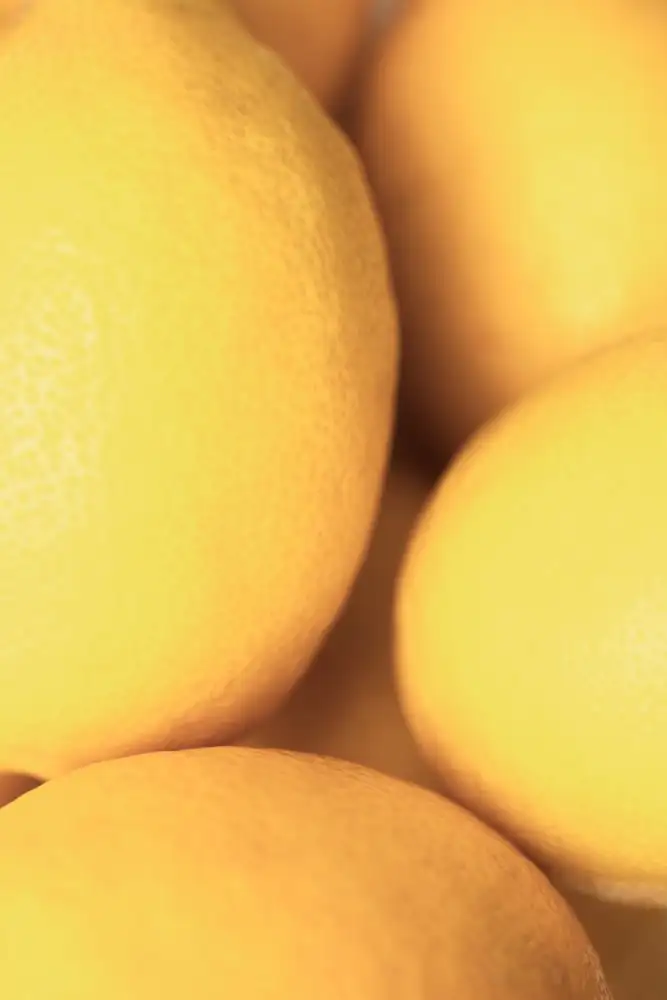 Studio, Pictufy: Citrons_2