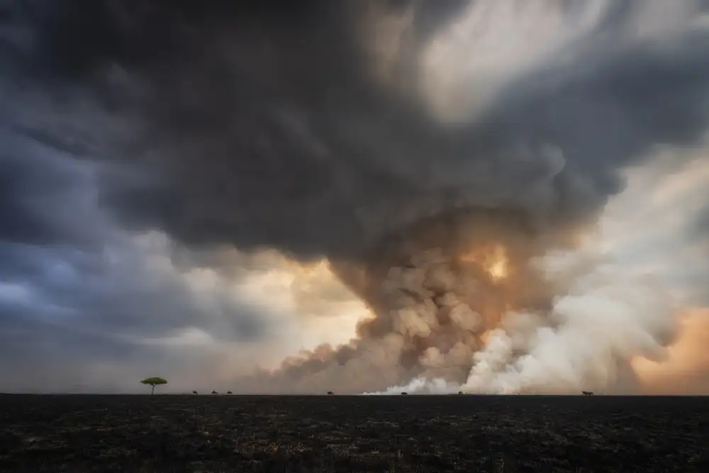 Marchegiani, Roberto: Savane brûlante