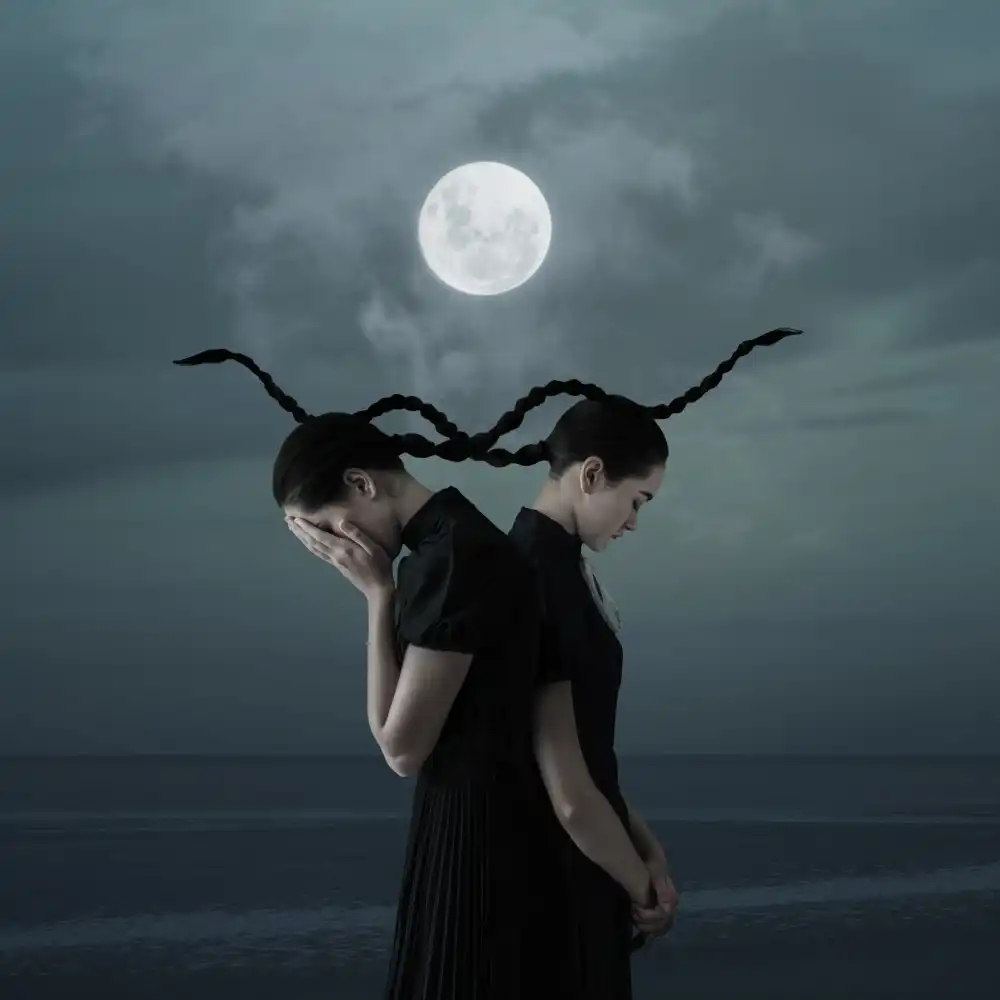 hardibudi: Wer hat den Mond gestohlen?