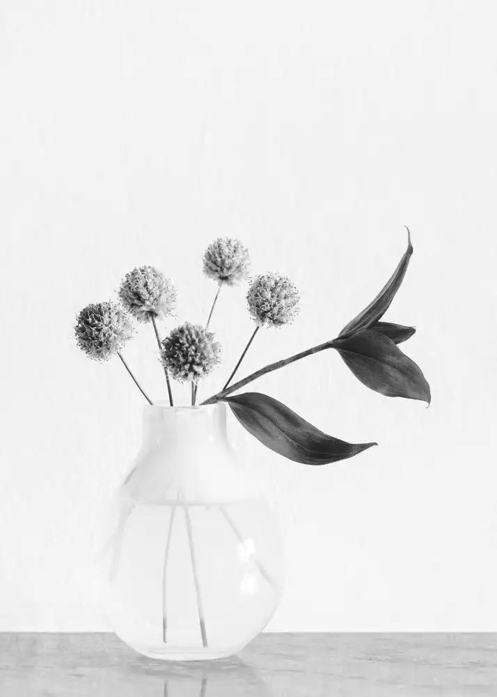 Studio, Pictufy: Vaso_ fiore di erba cipollina