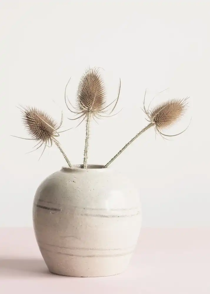 Studio, Pictufy: Fiori secchi in vaso