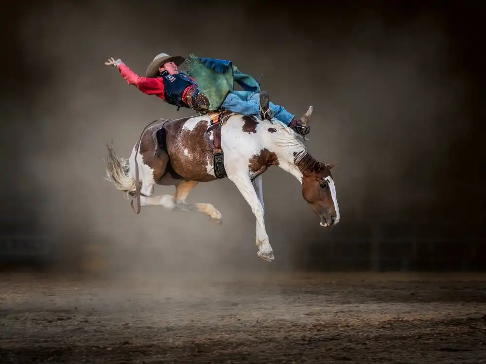 Ma, Frank: Buckjumping