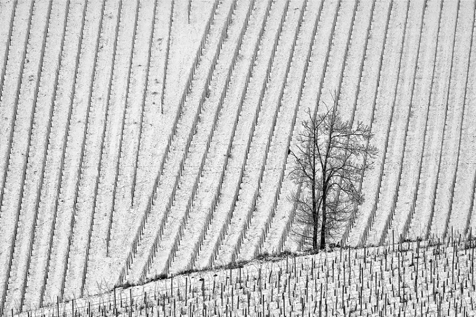 Kravanja, Jure: Gennaio il secondo