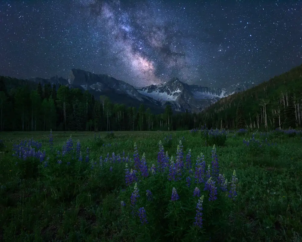 Xu, Mei: Alpine Night