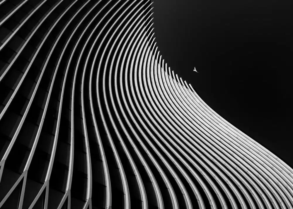 Alizolghadri93: Flight moment