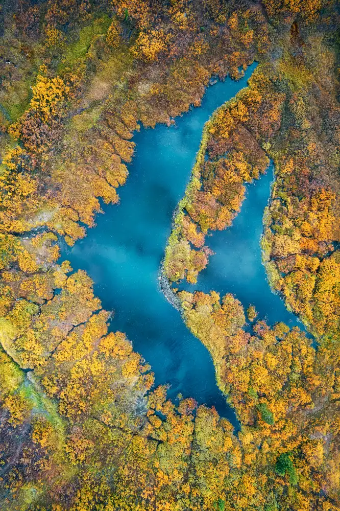 Xu, Mei: Swimming in Autumn