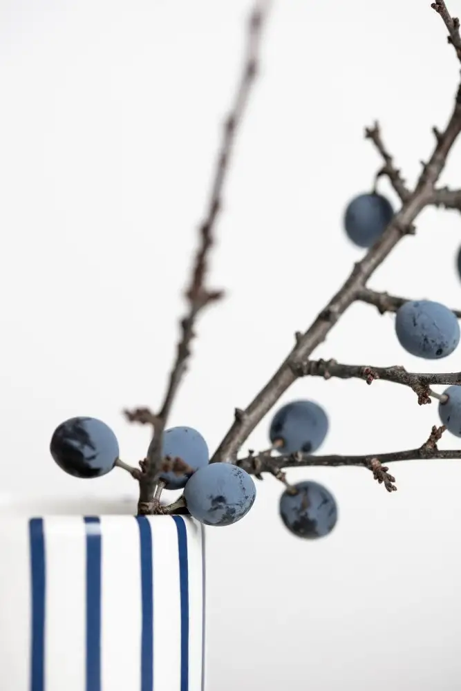 Studio, Pictufy: Baies Bleues