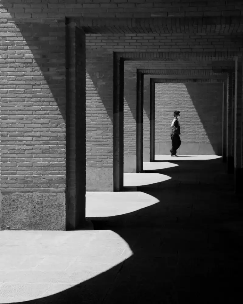 Asghari, Safoura: Untitled