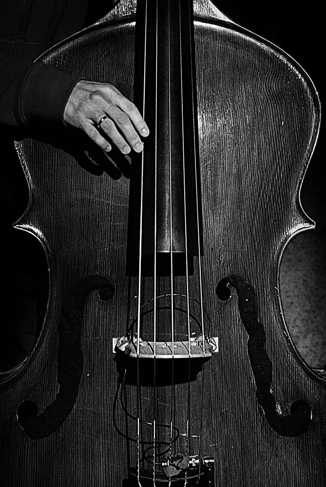 Gabor, Nicoleta: jazz