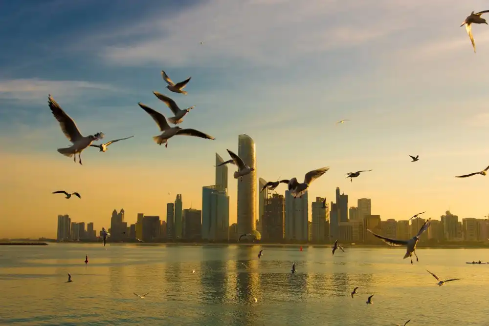 Nath, Mrinal: Good Morning Abu Dhabi
