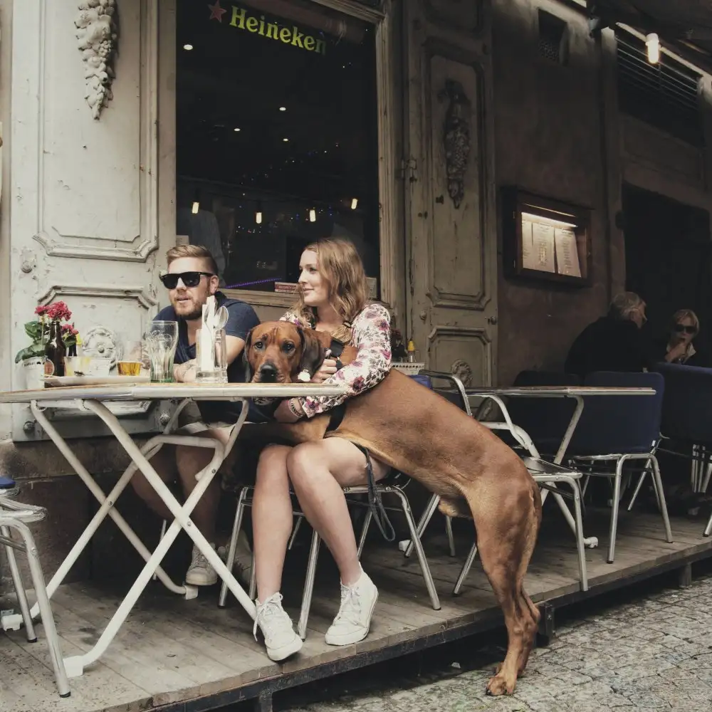Muolo, Vito: me, you and the dog
