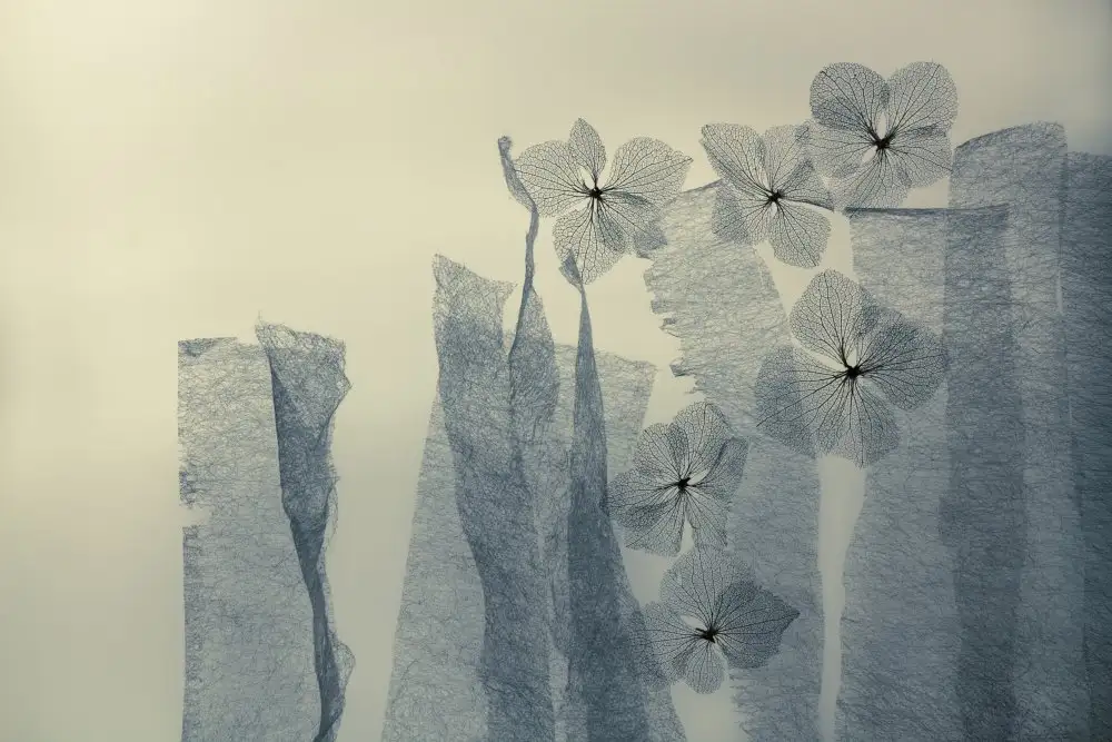 Kowatari, Shihya: 6 Blumen