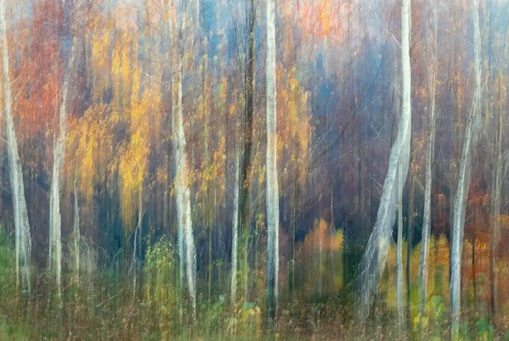 Komovec, Ales: Autumn